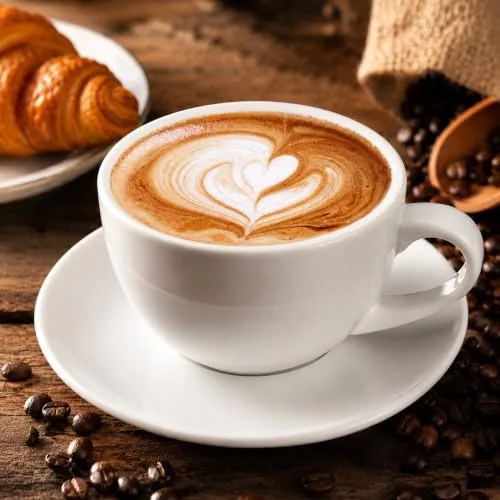 DeeCoo 11oz Ceramic Cappuccino Mug with Saucer